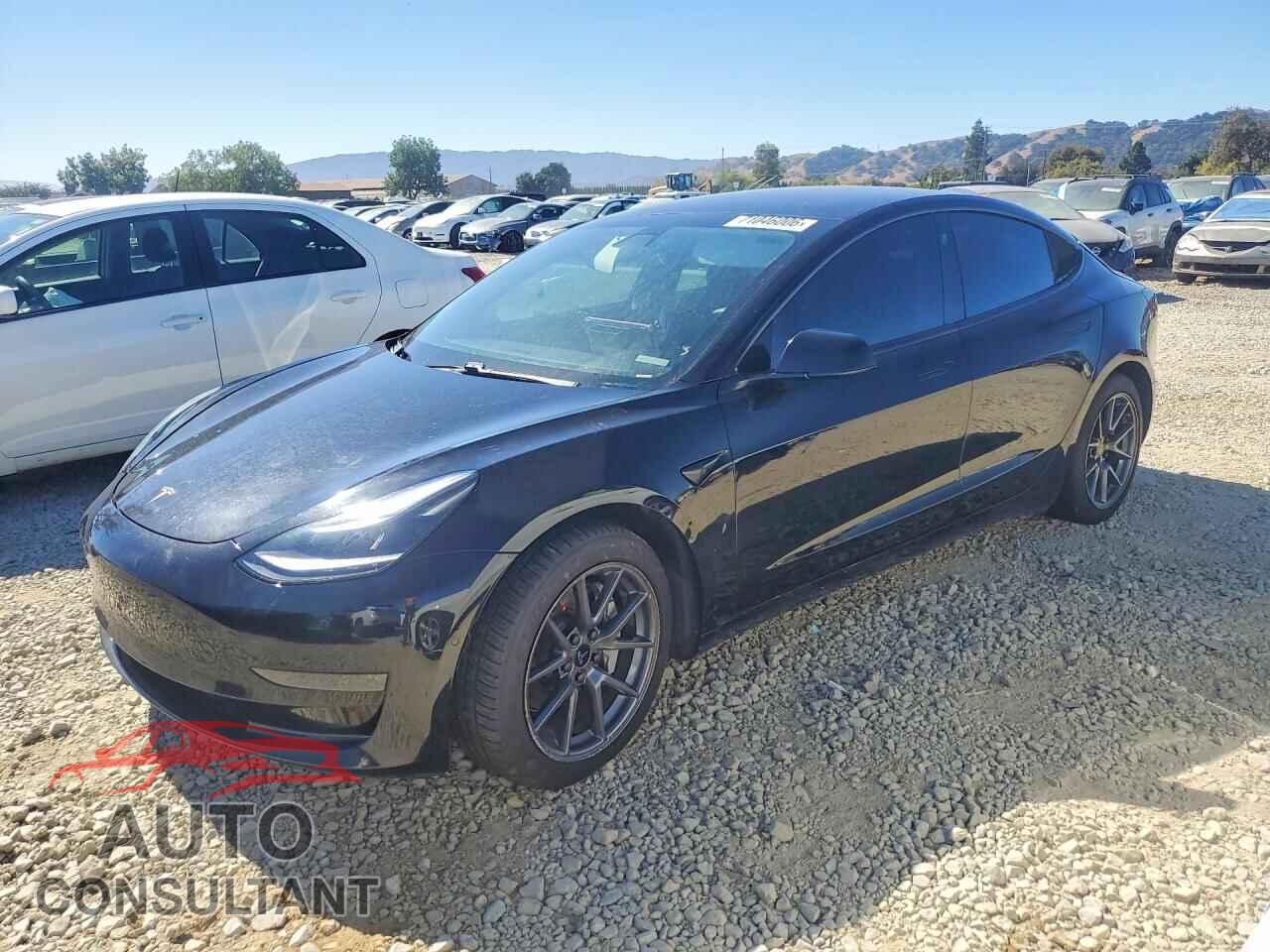 TESLA MODEL 3 2021 - 5YJ3E1EA1MF877707