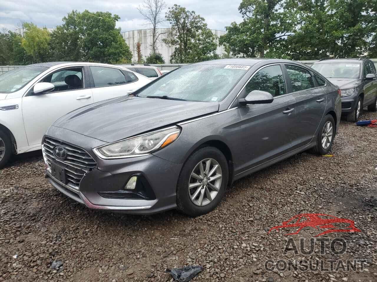 HYUNDAI SONATA 2019 - 5NPE24AF1KH799917