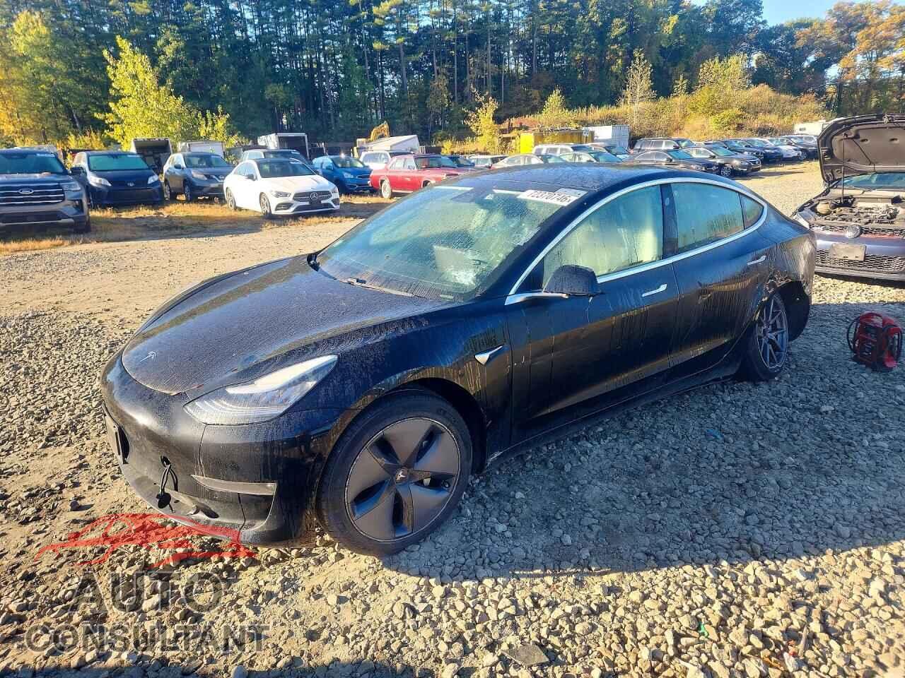TESLA MODEL 3 2019 - 5YJ3E1EA3KF397777