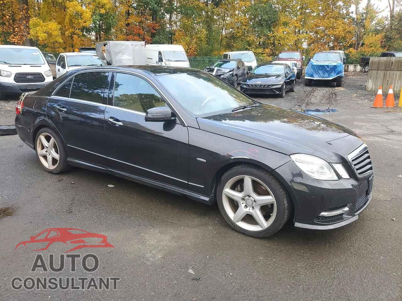 MERCEDES-BENZ E-CLASS 2012 - WDDHF8JB1CA640321