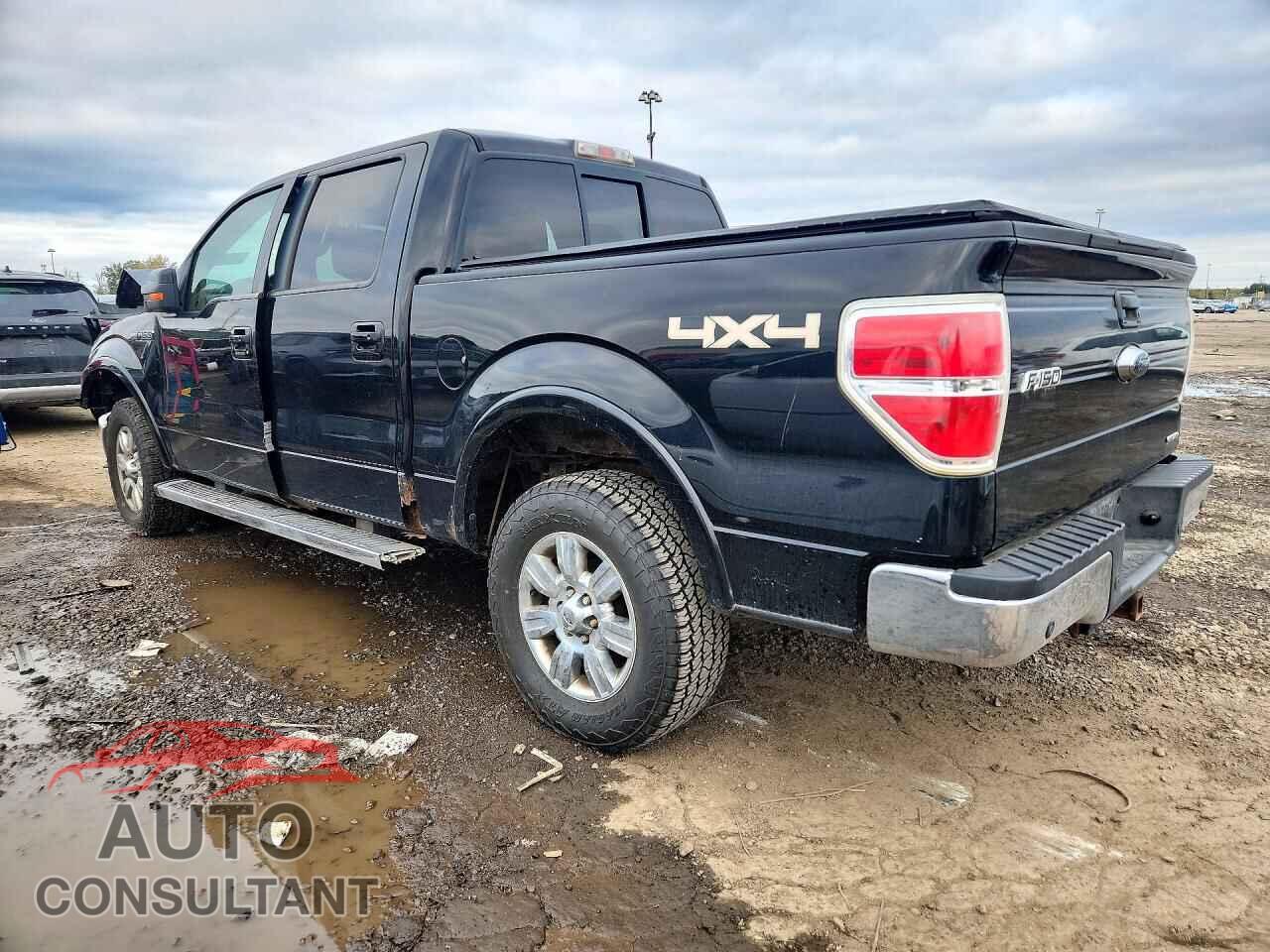 FORD F150 2011 - 1FTFW1EF6BFC12347