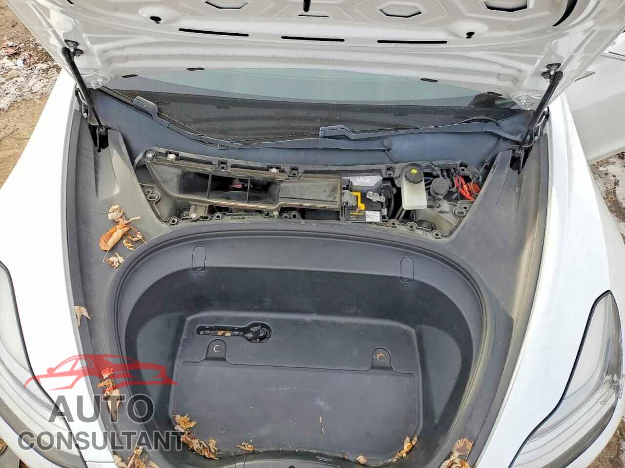 TESLA MODEL 3 2019 - 5YJ3E1EA0KF482527