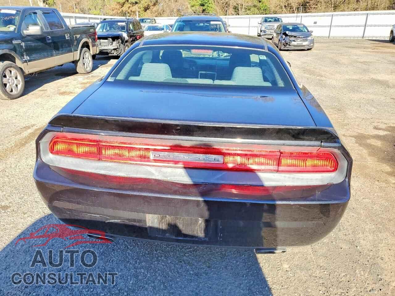 DODGE CHALLENGER 2010 - 2B3CJ4DV9AH154759