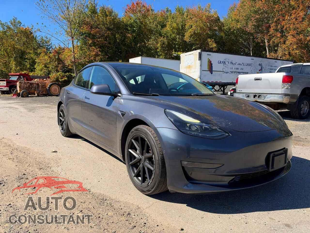 TESLA MODEL 3 2021 - 5YJ3E1EB3MF902504