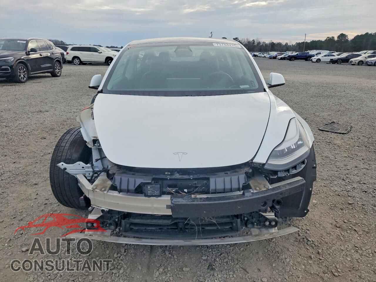 TESLA MODEL 3 2021 - 5YJ3E1EA7MF852083