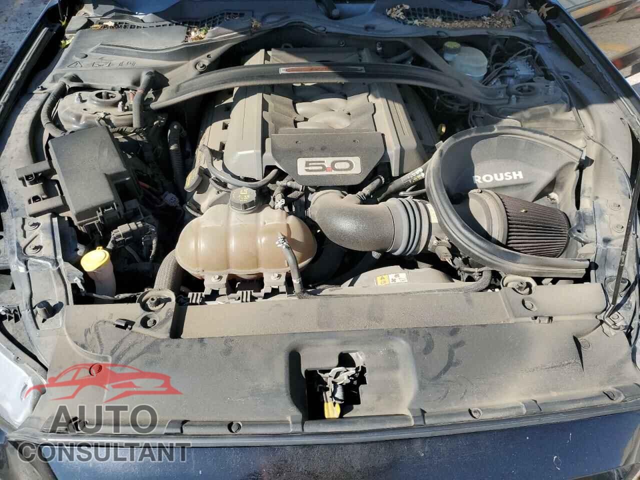 FORD MUSTANG 2015 - 1FA6P8CF4F5413075