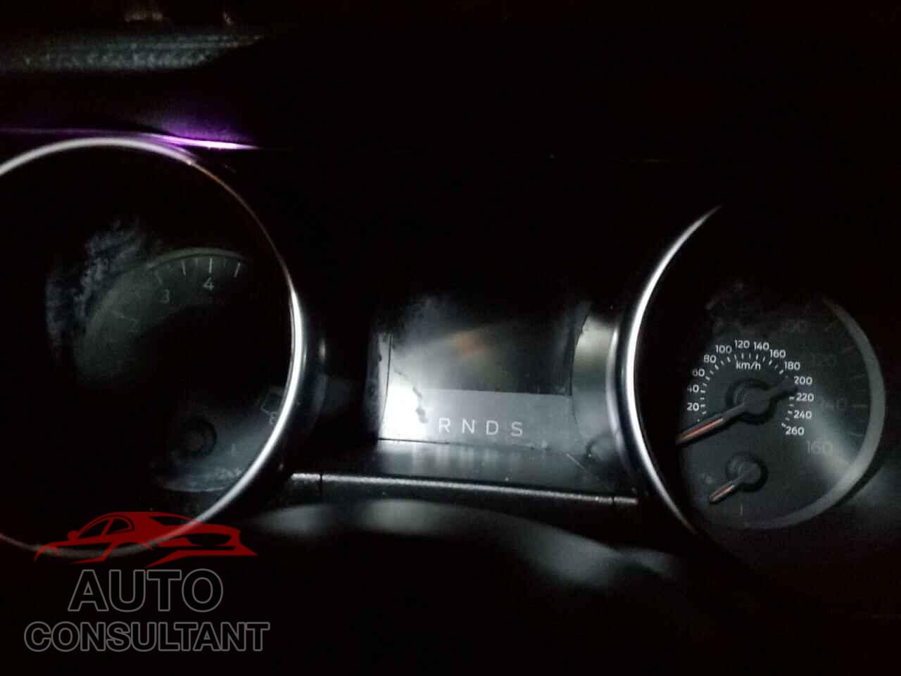 FORD MUSTANG 2019 - 1FA6P8CF3K5191090