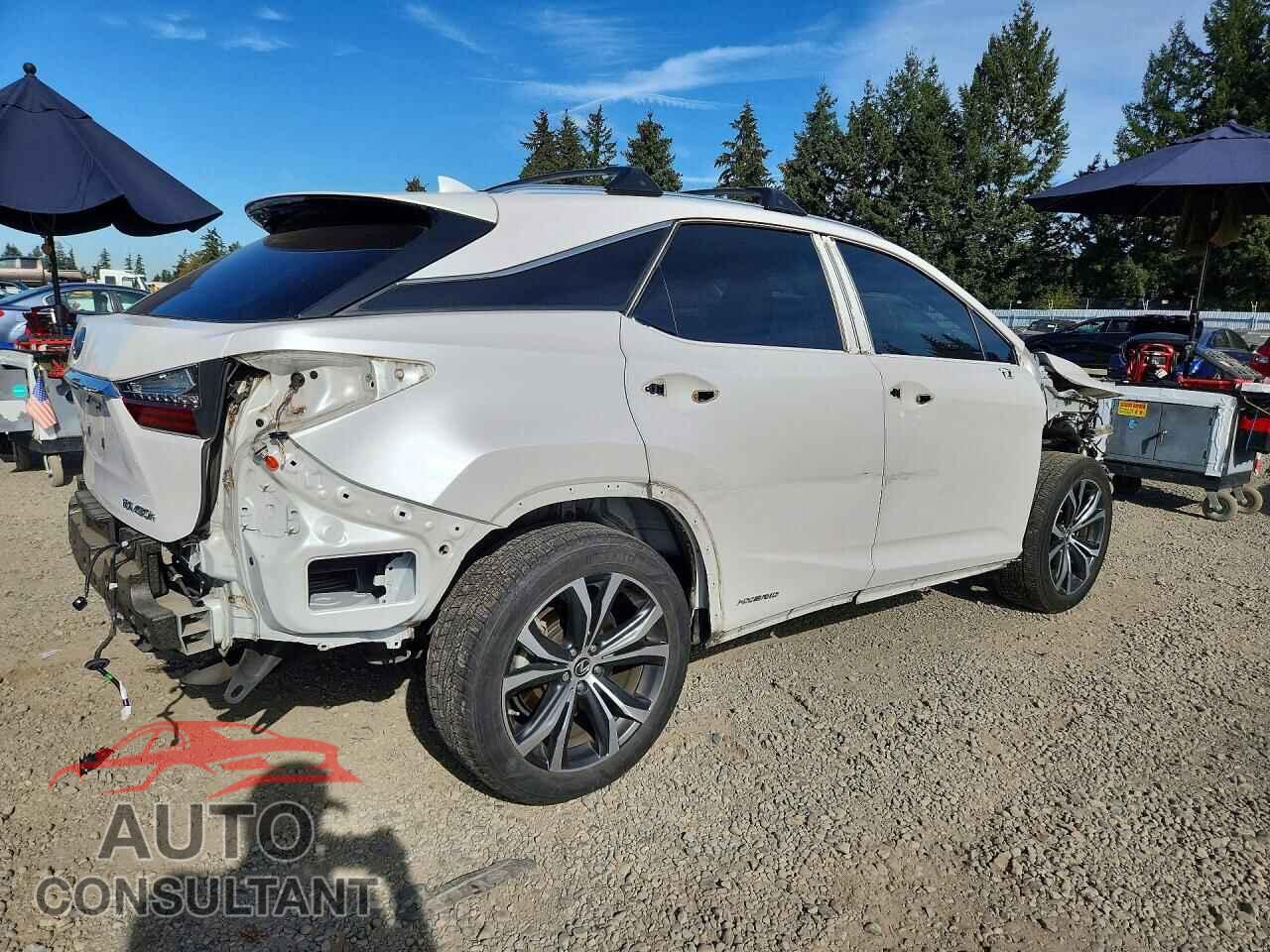 LEXUS RX450 2019 - 2T2BGMCAXKC030904