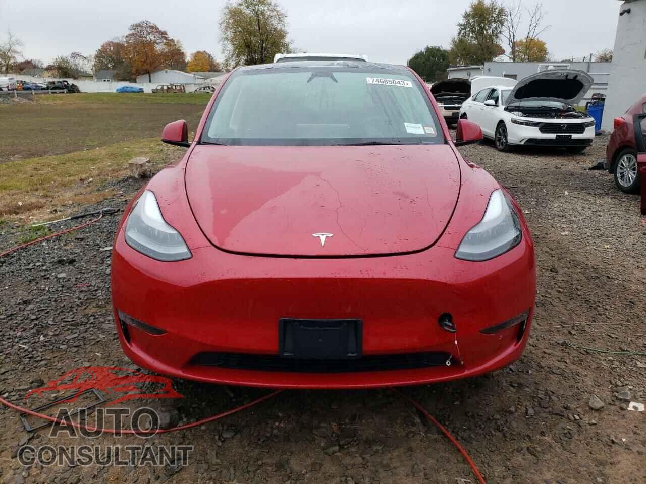 TESLA MODEL Y 2023 - 7SAYGDEF6PF878730