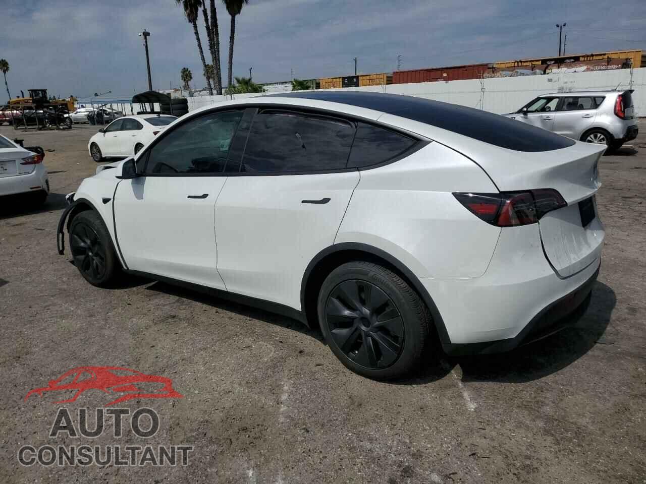 TESLA MODEL Y 2024 - 7SAYGDEE5RF131663