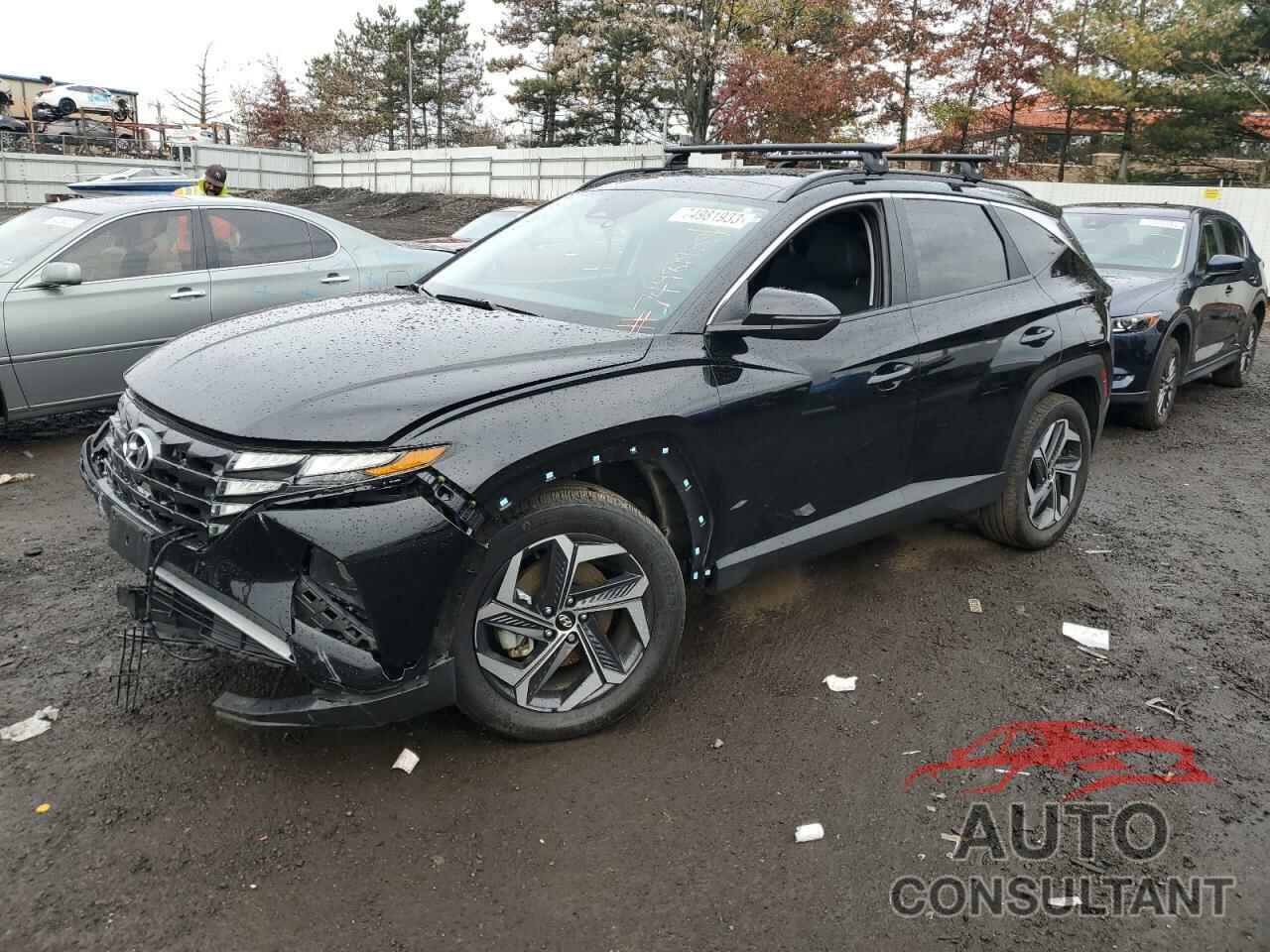 HYUNDAI TUCSON 2023 - KM8JFCA19PU090744