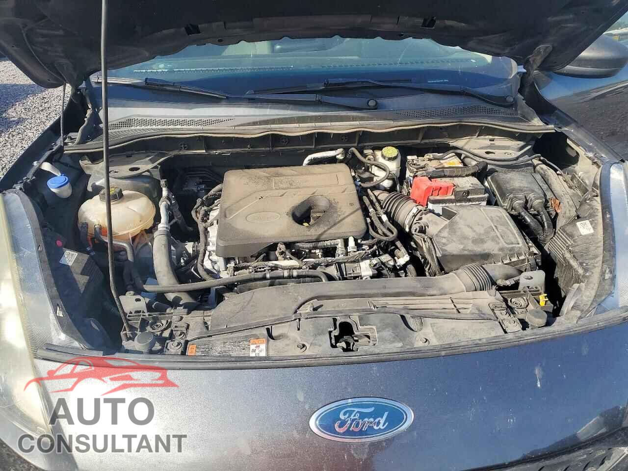 FORD ESCAPE 2020 - 1FMCU0F68LUA57262