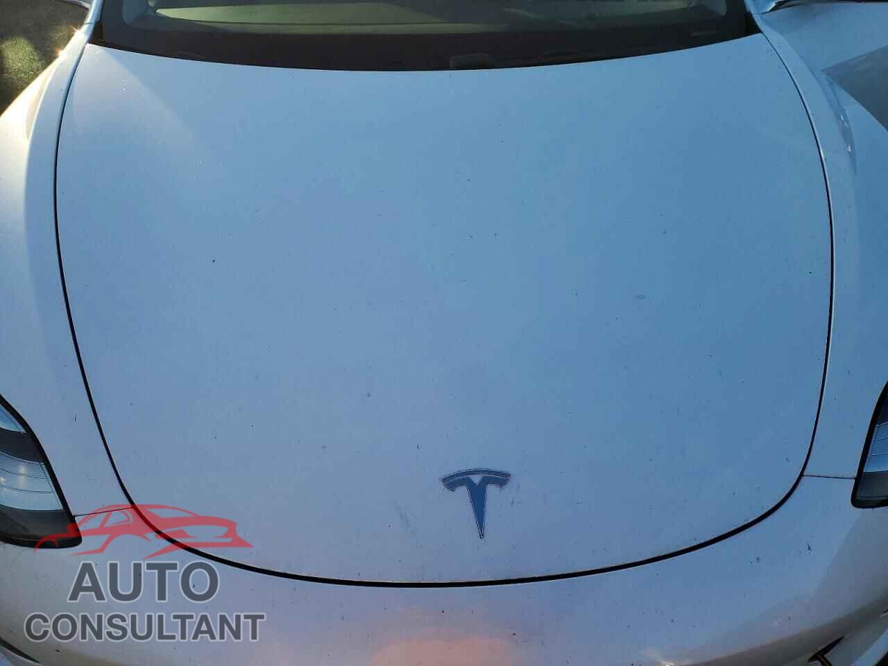TESLA MODEL 3 2019 - 5YJ3E1EA3KF412911