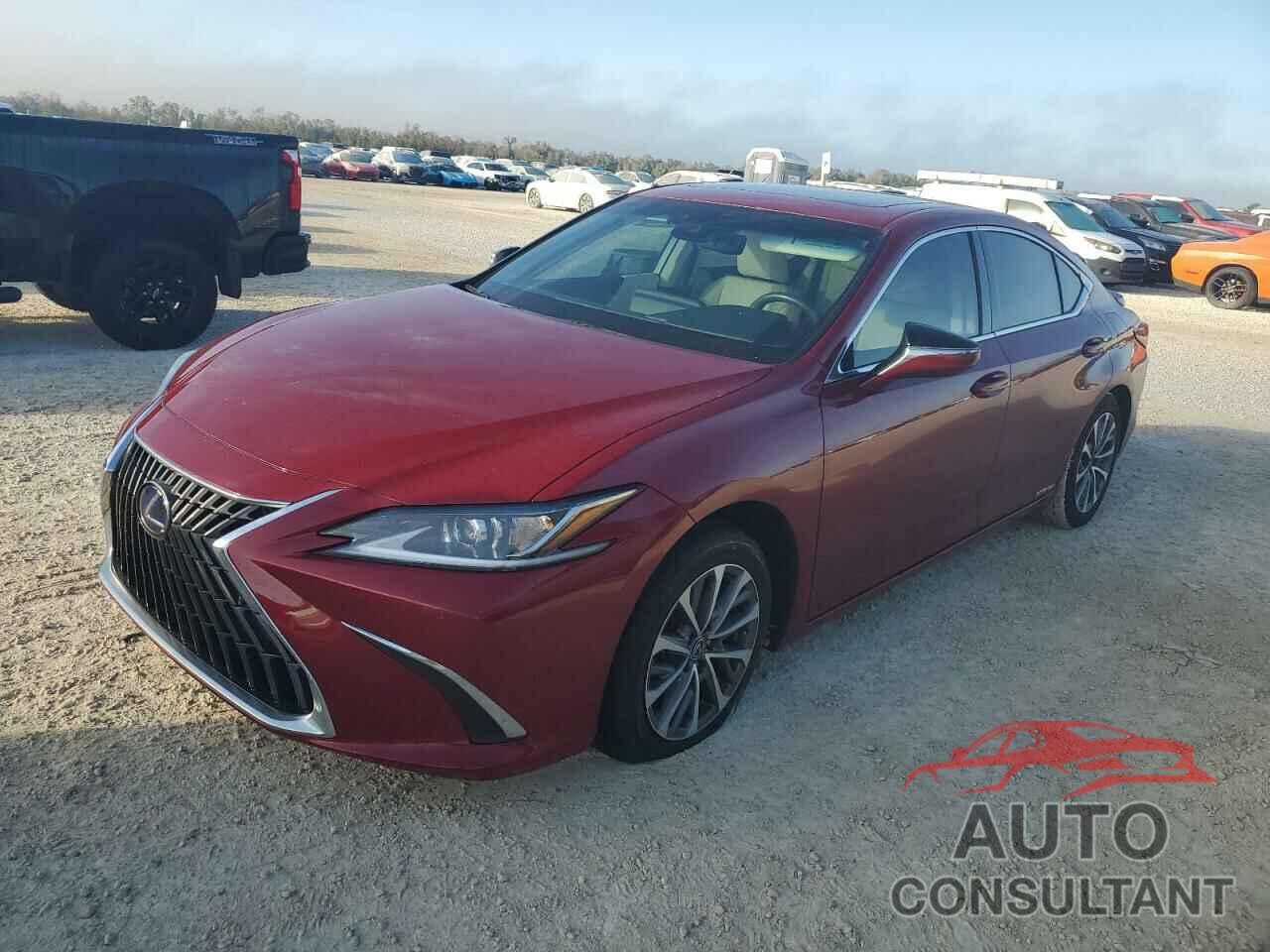 LEXUS ES300 2022 - 58ADA1C11NU019069