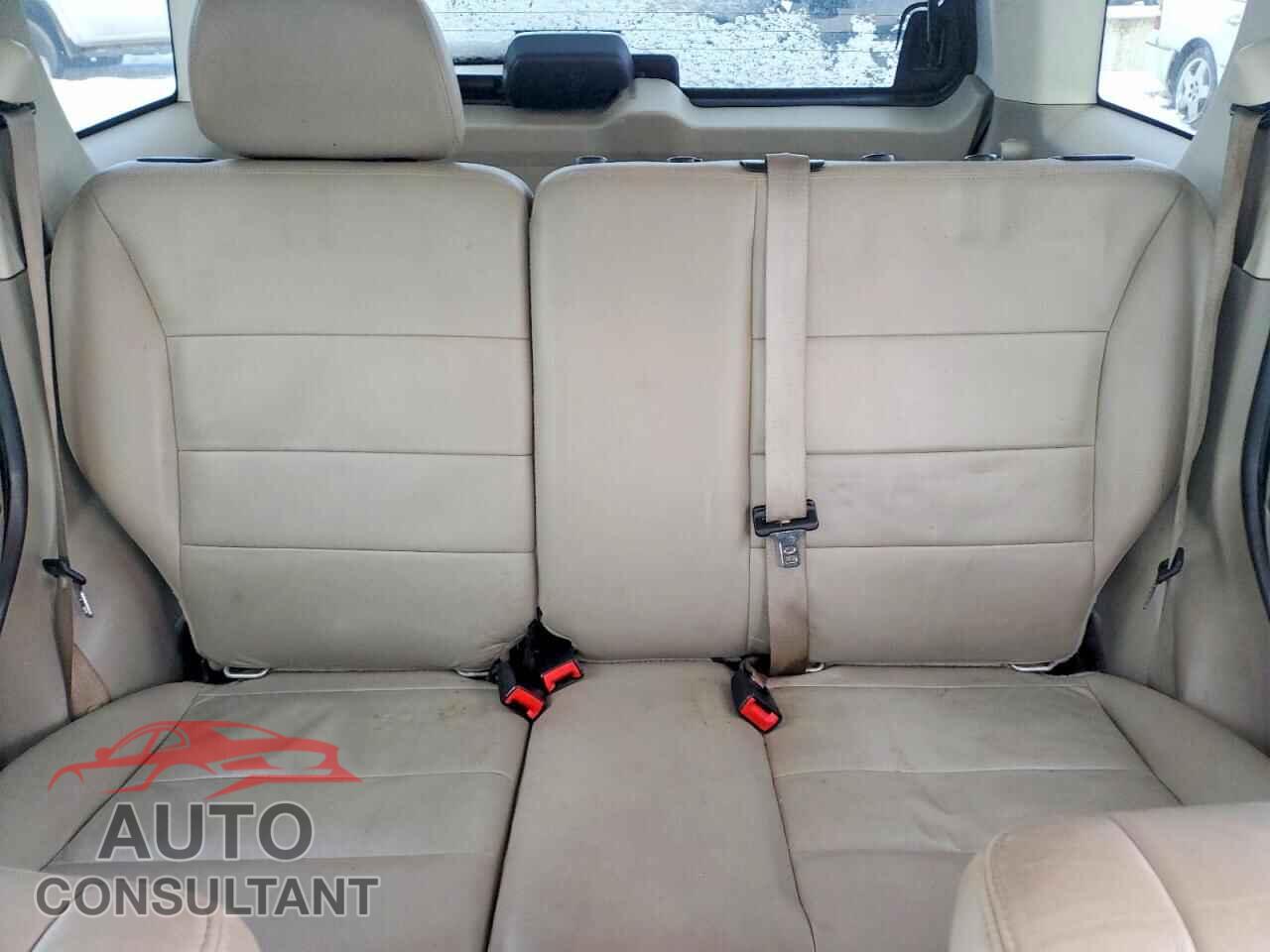 FORD ESCAPE 2010 - 1FMCU0D79AKB89063