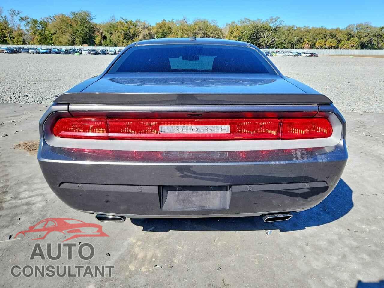 DODGE CHALLENGER 2014 - 2C3CDYBT4EH218599