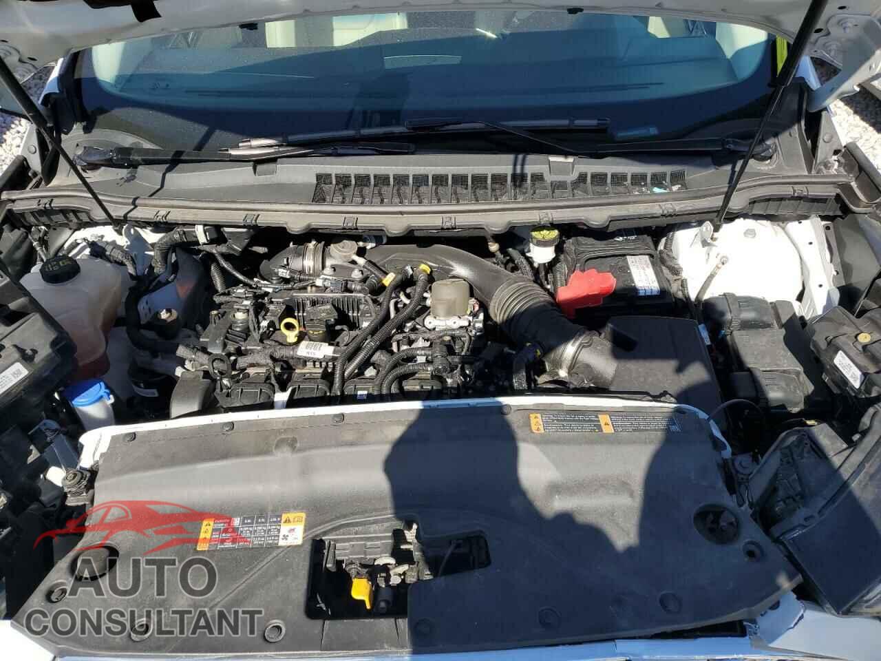 FORD EDGE 2019 - 2FMPK4K94KBC11372
