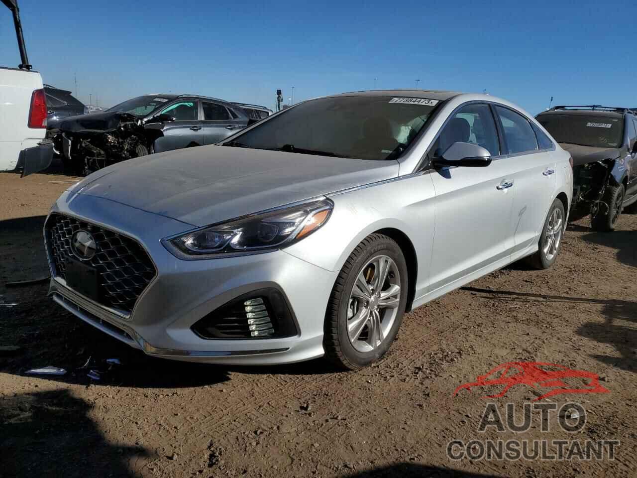 HYUNDAI SONATA 2019 - 5NPE34AF9KH731880