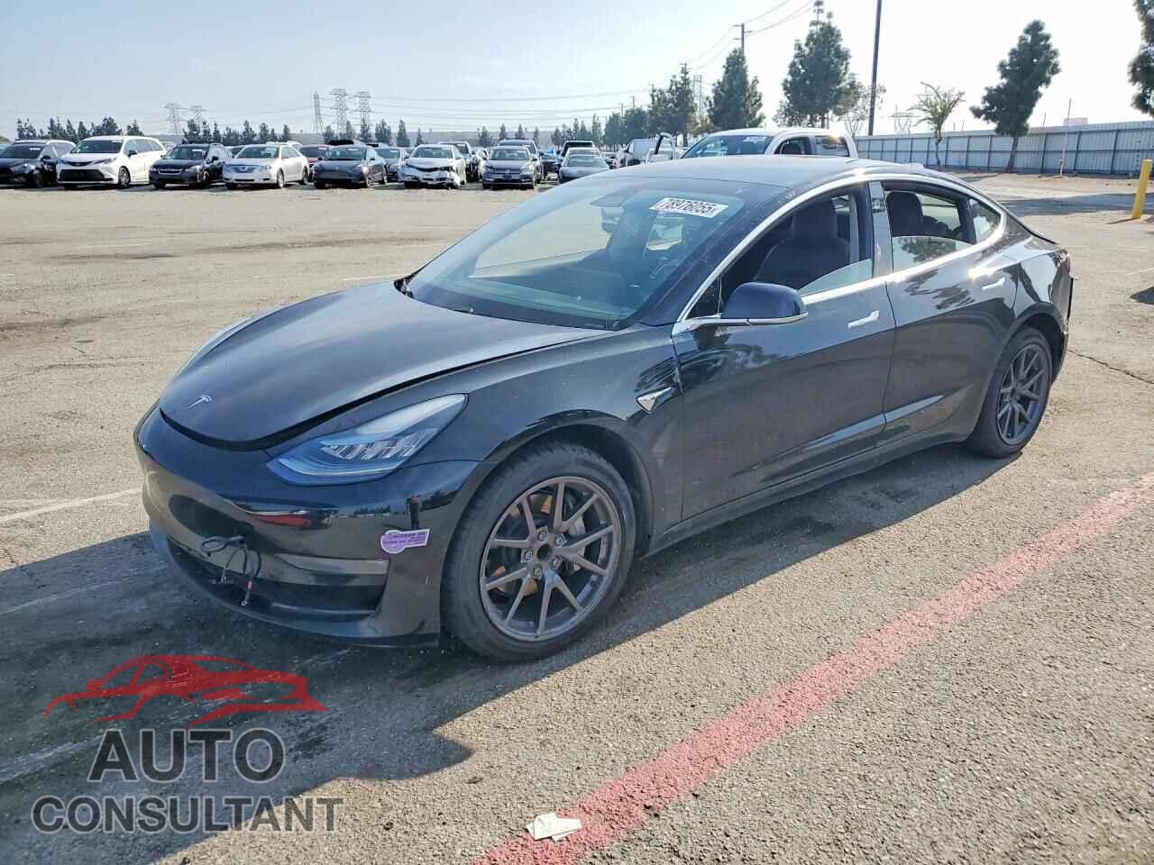 TESLA MODEL 3 2019 - 5YJ3E1EA3KF316745