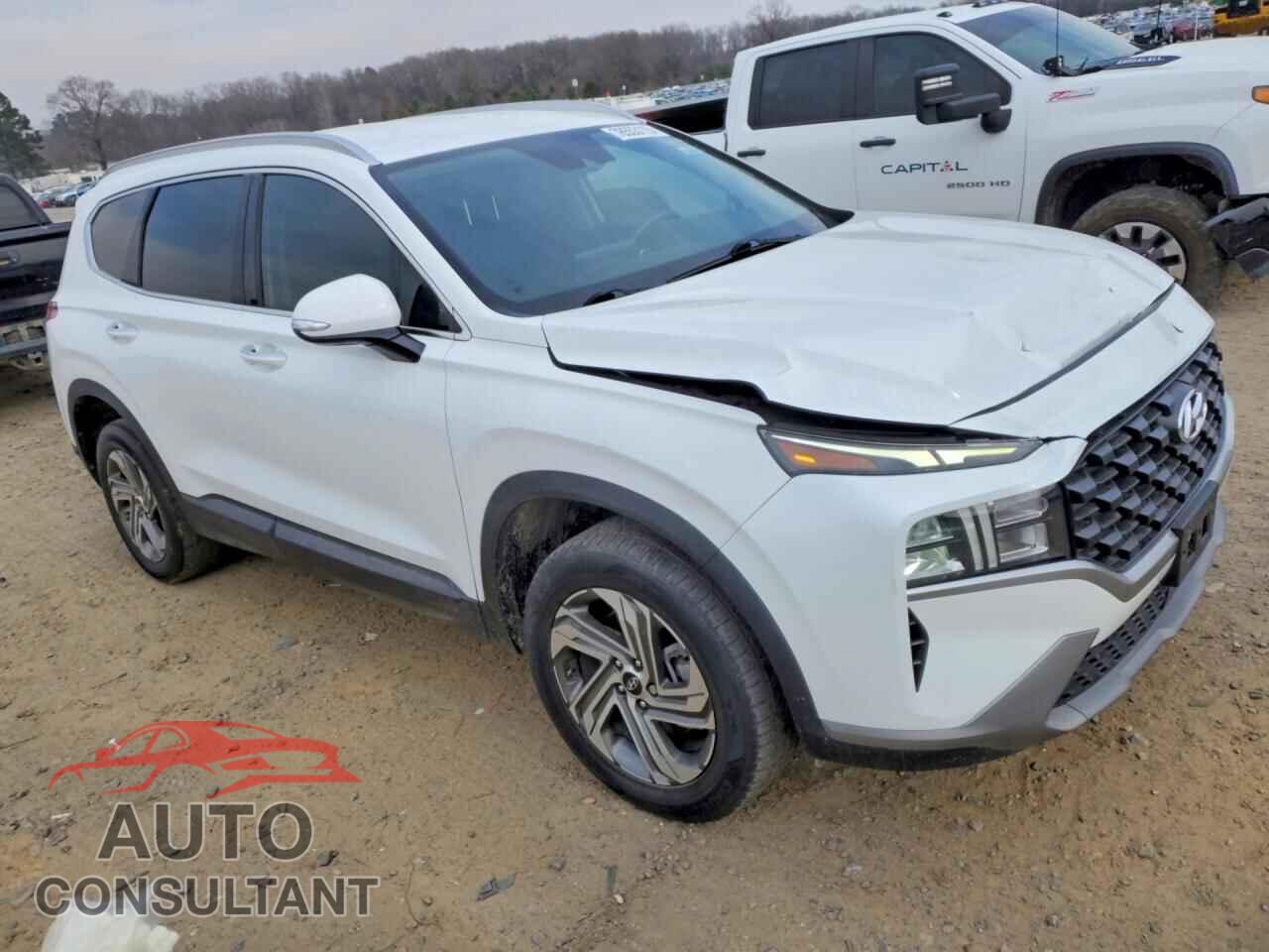 HYUNDAI SANTA FE 2023 - 5NMS2DAJ4PH485609