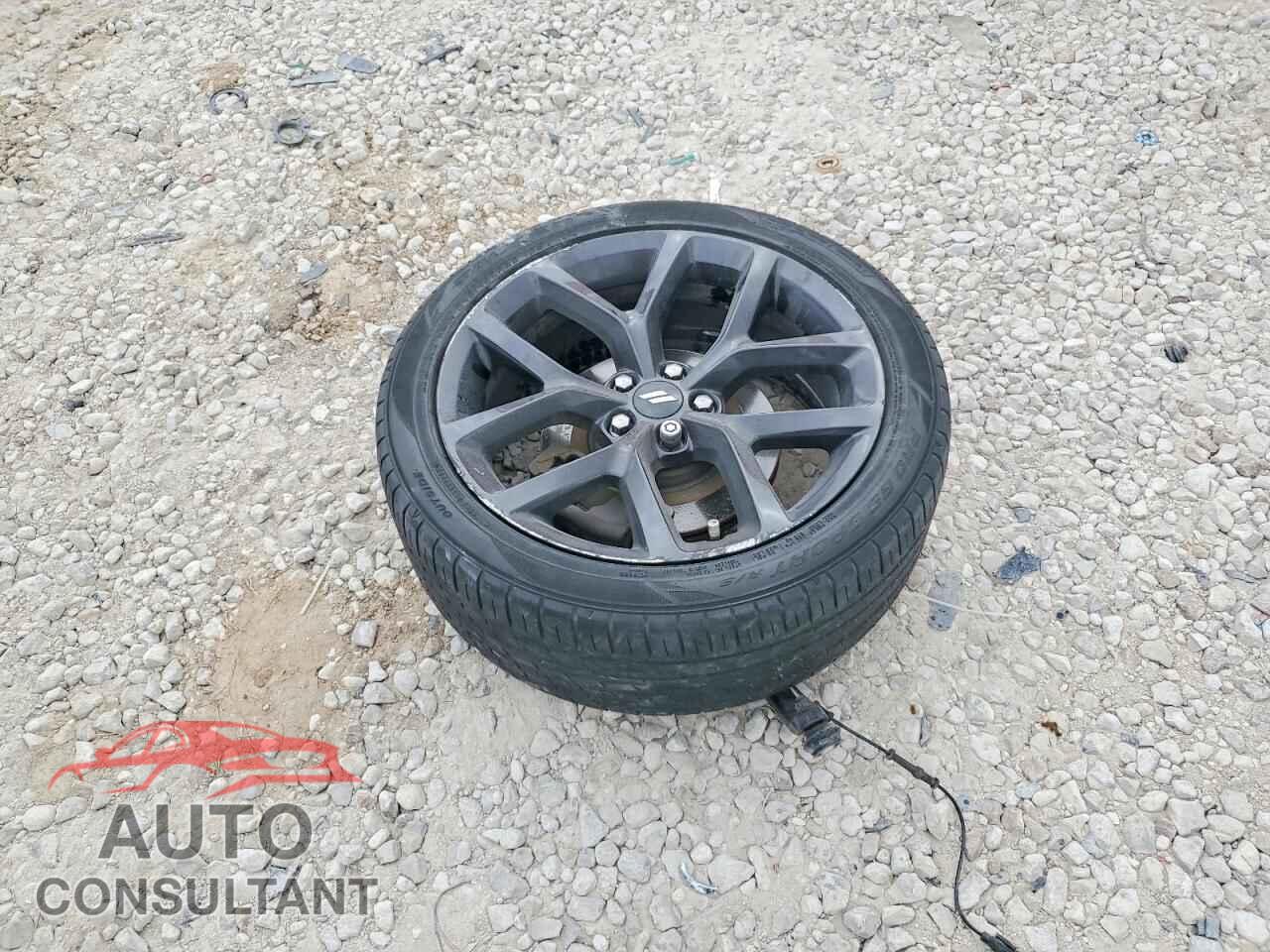 DODGE CHALLENGER 2019 - 2C3CDZAG4KH551455