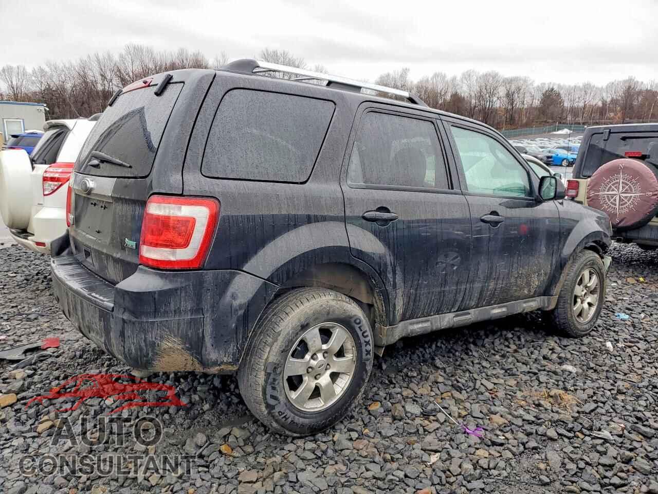 FORD ESCAPE 2011 - 1FMCU9EG5BKB85161