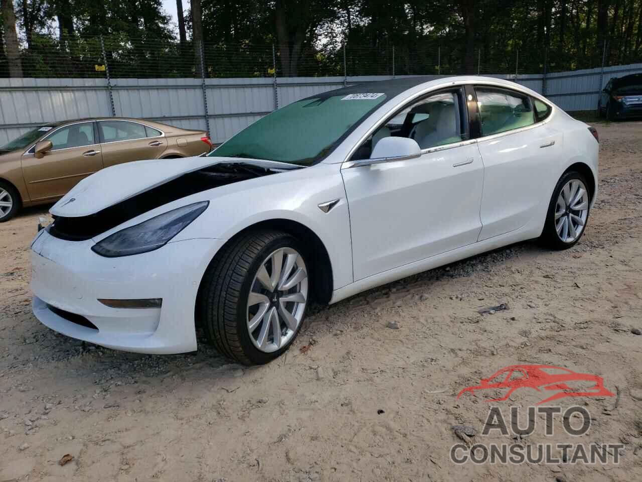 TESLA MODEL 3 2019 - 5YJ3E1EB8KF392308