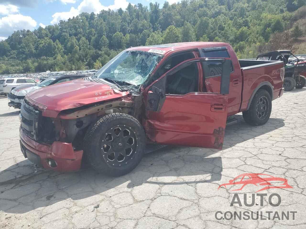 FORD F-150 2013 - 1FTFW1EF4DKG02129