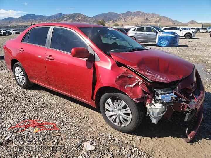 TOYOTA COROLLA 2011 - 2T1BU4EE8BC585203