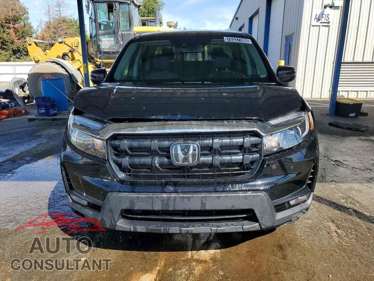 HONDA RIDGELINE 2026 - 5FPYK3F50TB016259