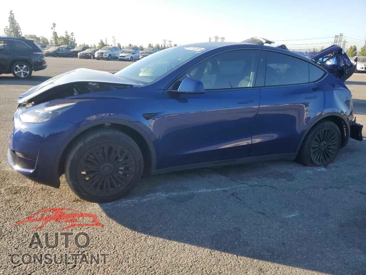 TESLA MODEL Y 2024 - 7SAYGDED0RF019599