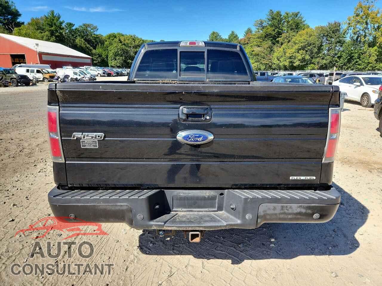 FORD F150 2011 - 1FTFX1EF8BFB19908