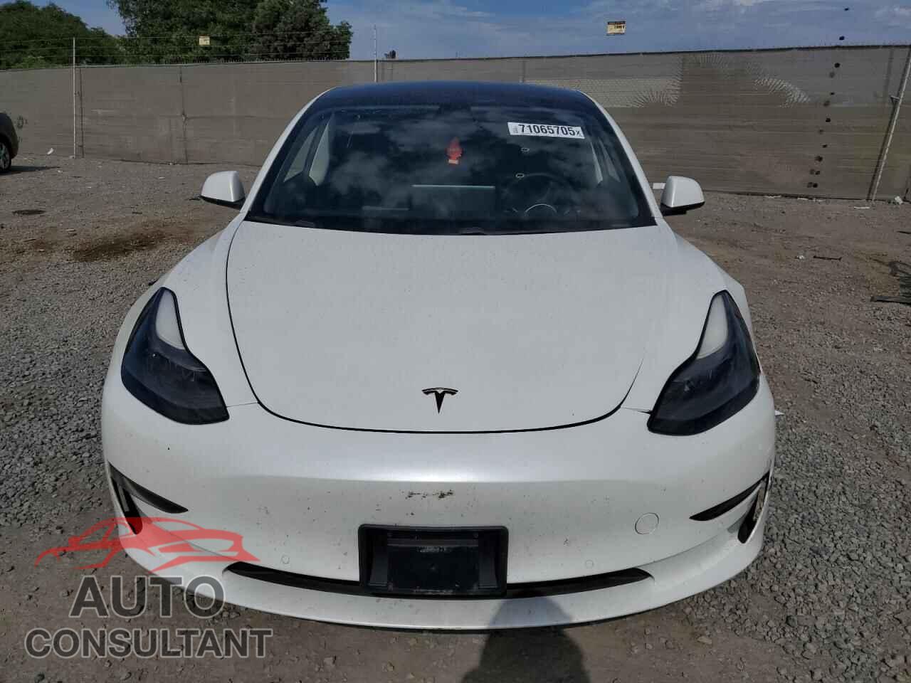 TESLA MODEL 3 2021 - 5YJ3E1EA4MF991619