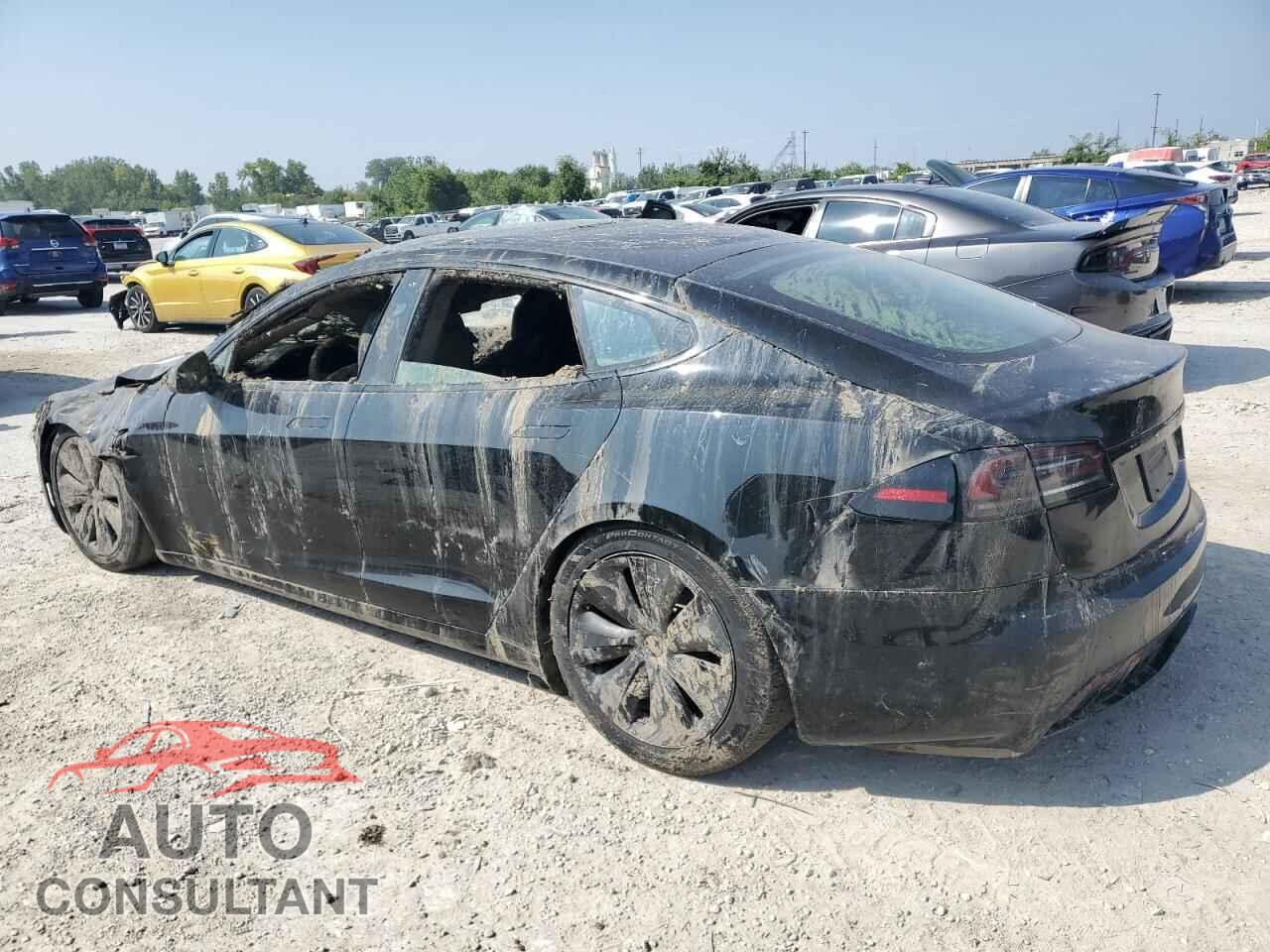 TESLA MODEL S 2024 - 5YJSA1E59RF532894
