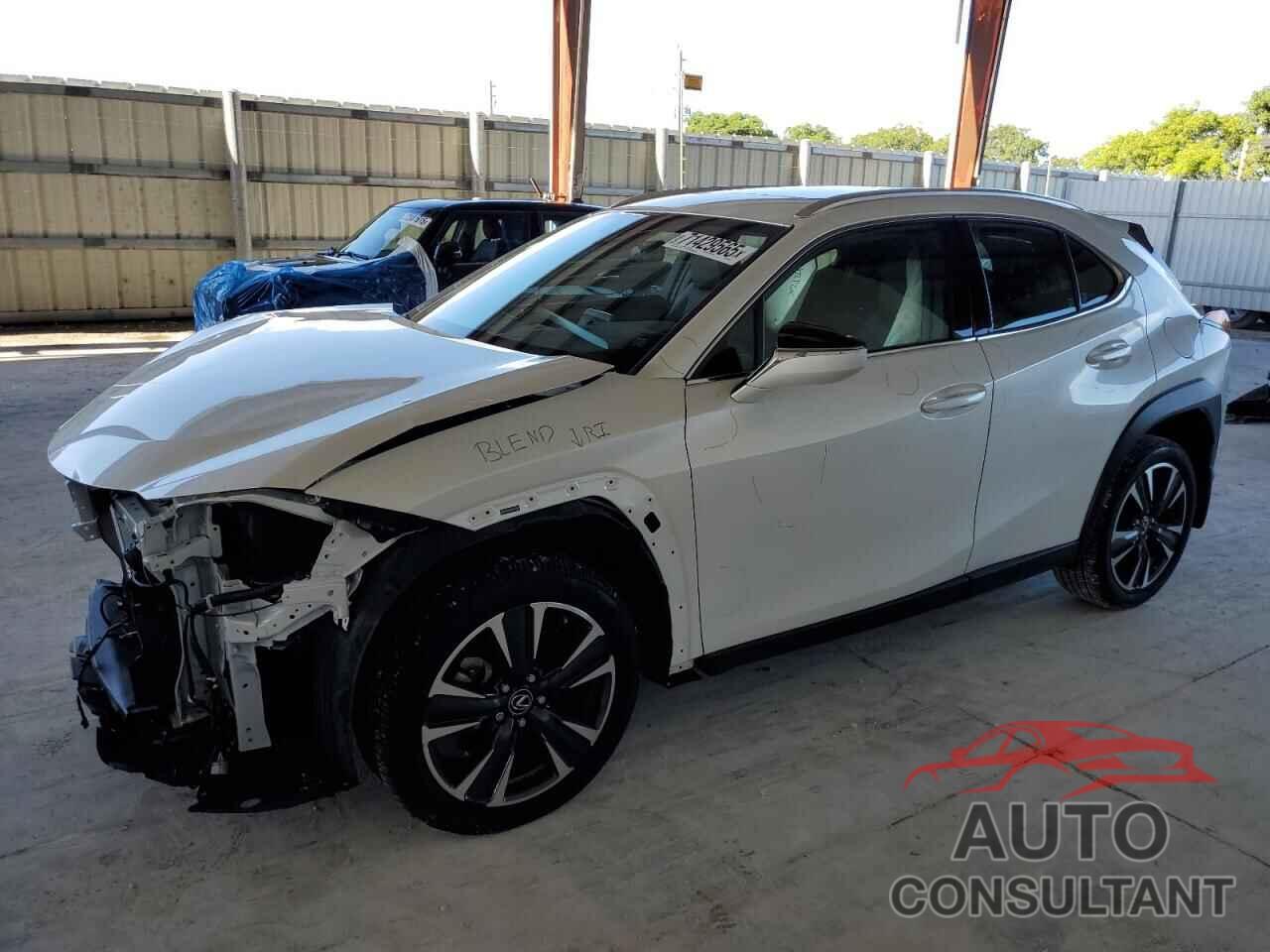 LEXUS UX 250H BA 2024 - JTHX6JBH6R2183300