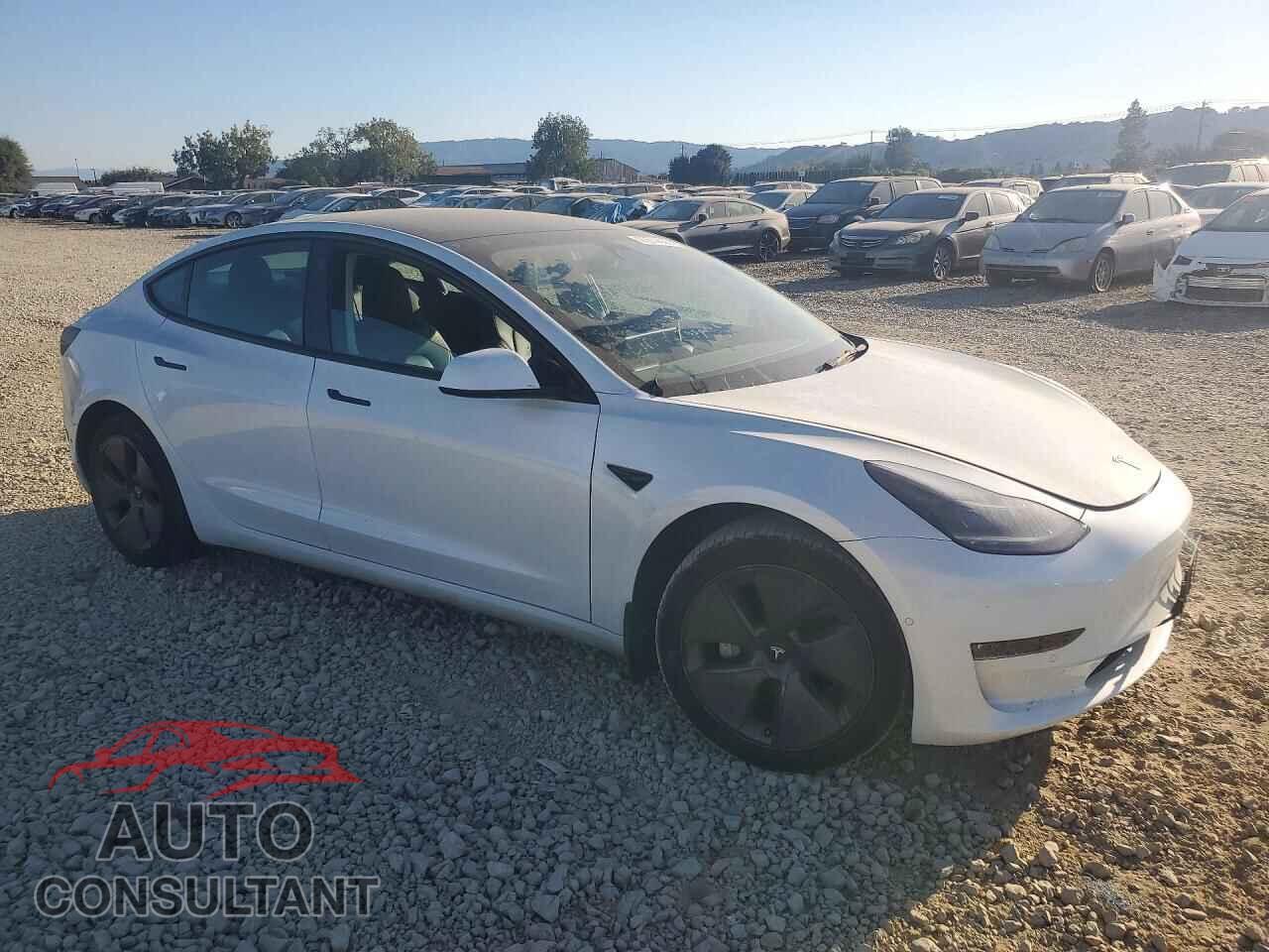 TESLA MODEL 3 2022 - 5YJ3E1EA8NF196784