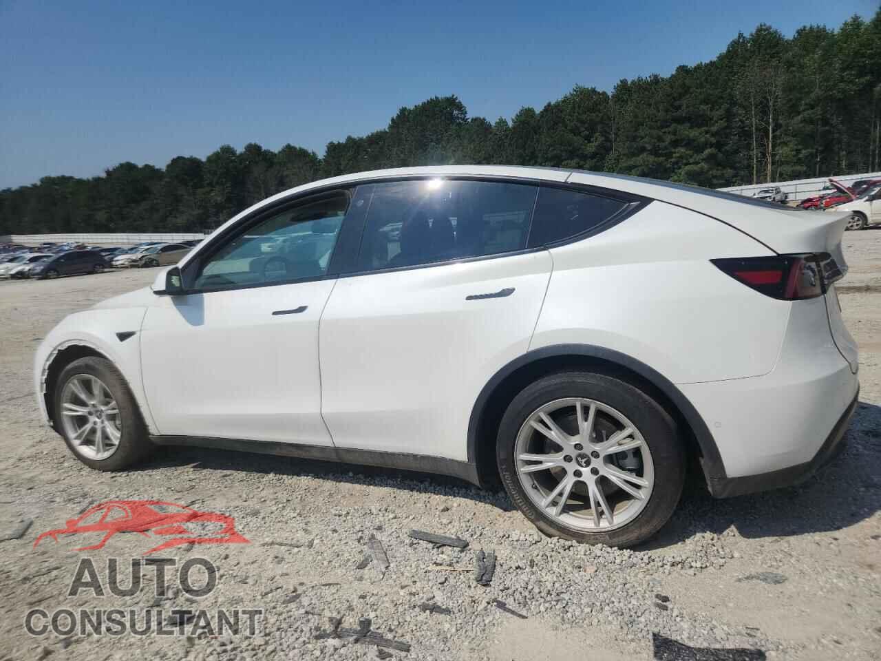 TESLA MODEL Y 2022 - 7SAYGDEE5NF371063
