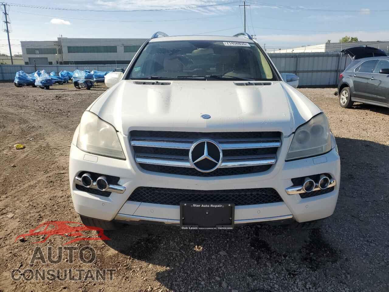 MERCEDES-BENZ GL-CLASS 2010 - 4JGBF7BE3AA610295