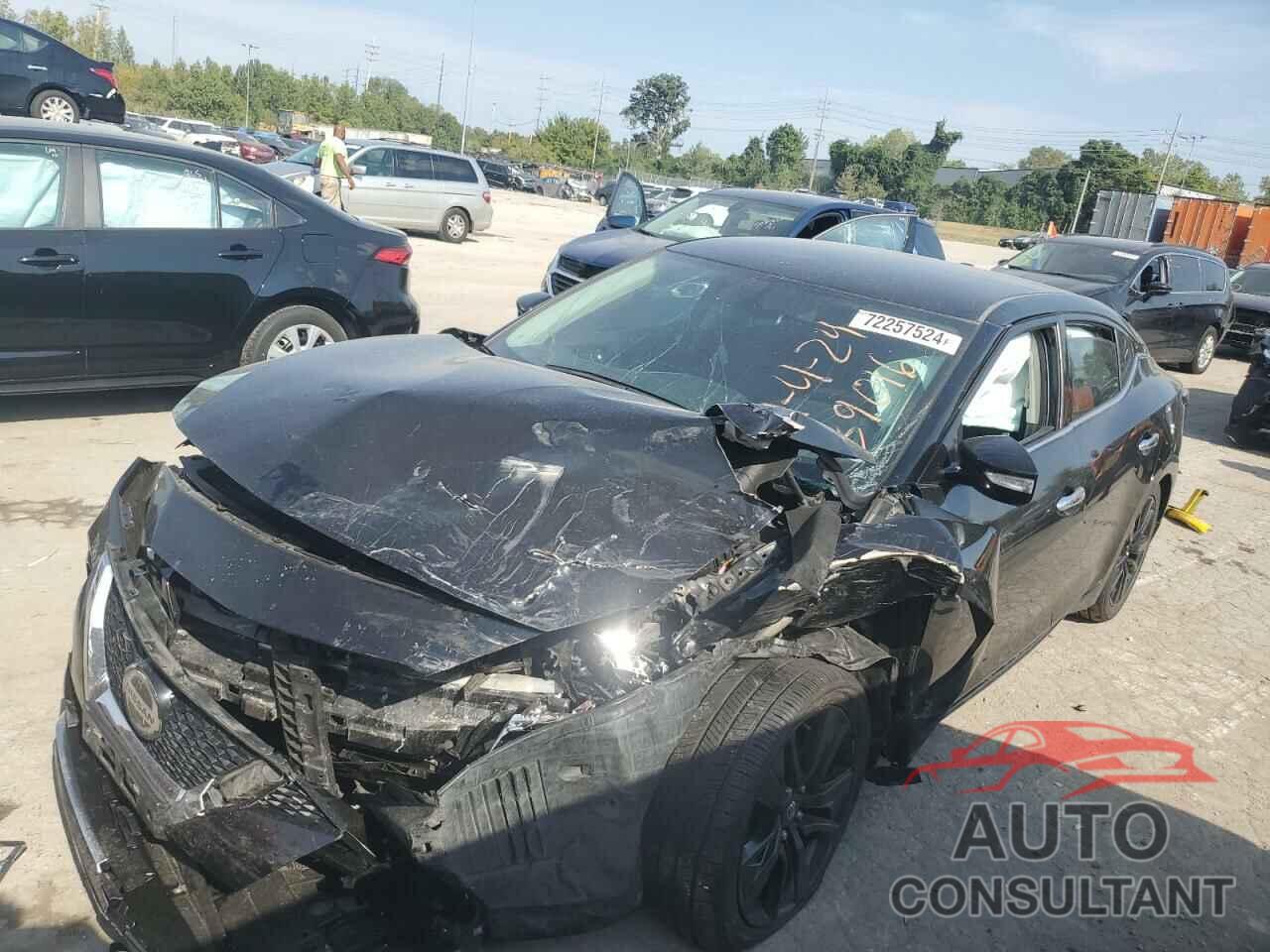 NISSAN MAXIMA 2019 - 1N4AA6AV5KC384699