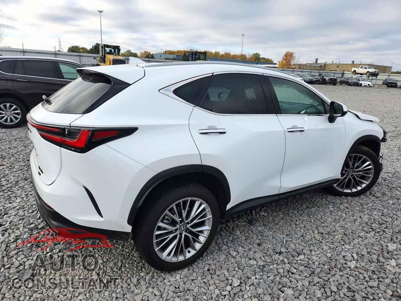 LEXUS NX 2026 - 2T2HKCEZ7TC071076
