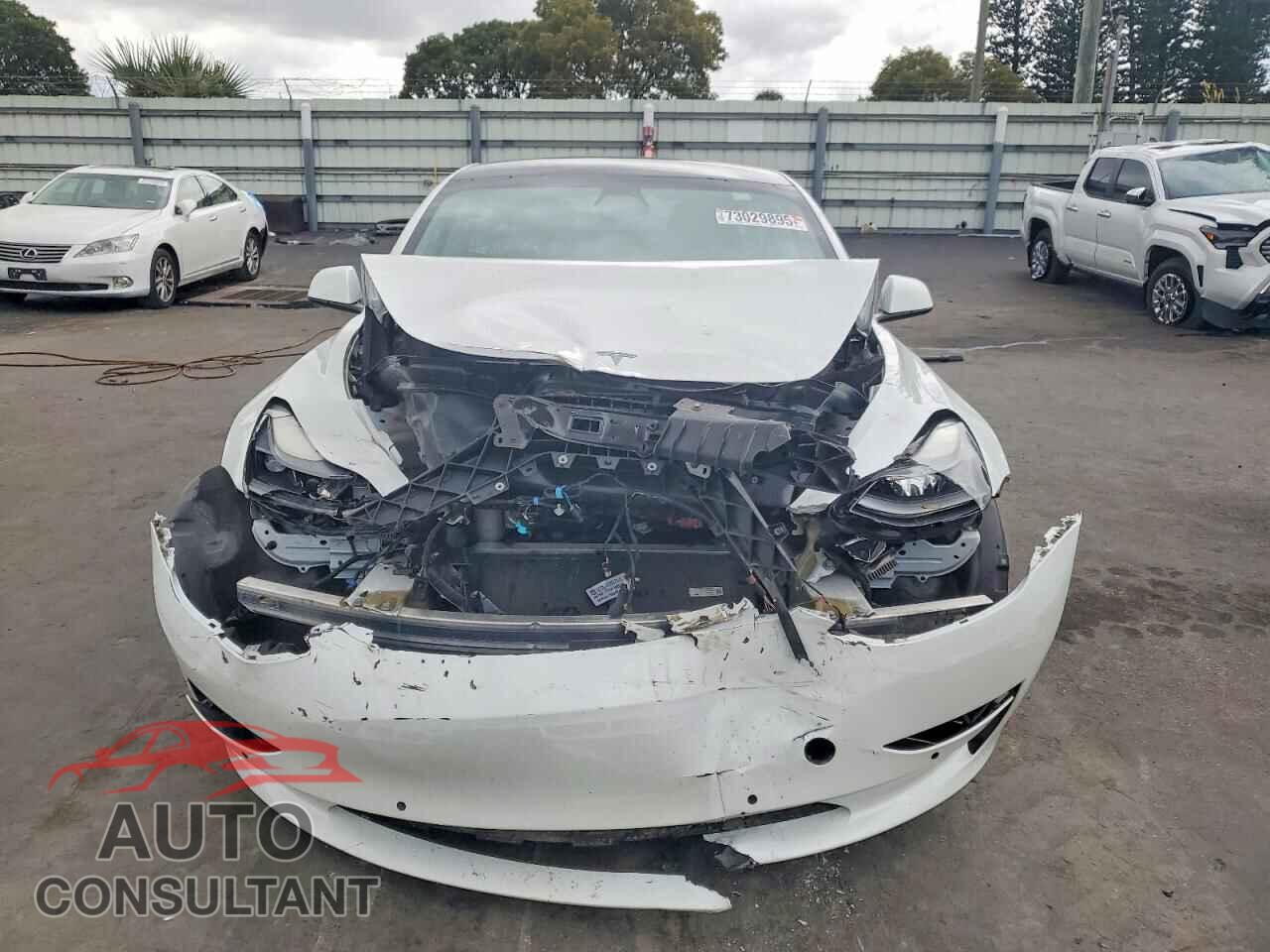 TESLA MODEL 3 2021 - 5YJ3E1EA3MF096137