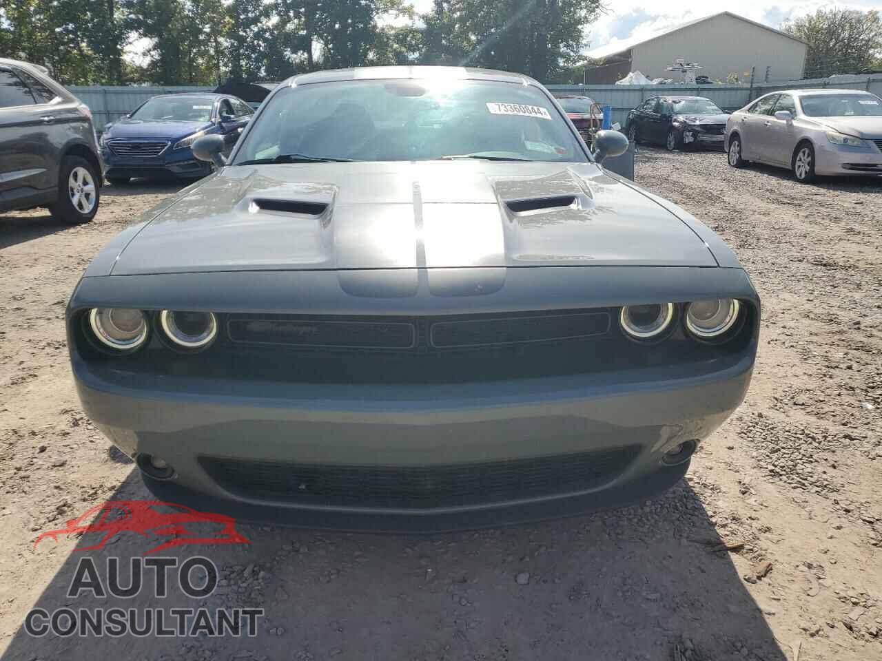 DODGE CHALLENGER 2019 - 2C3CDZAG7KH665773