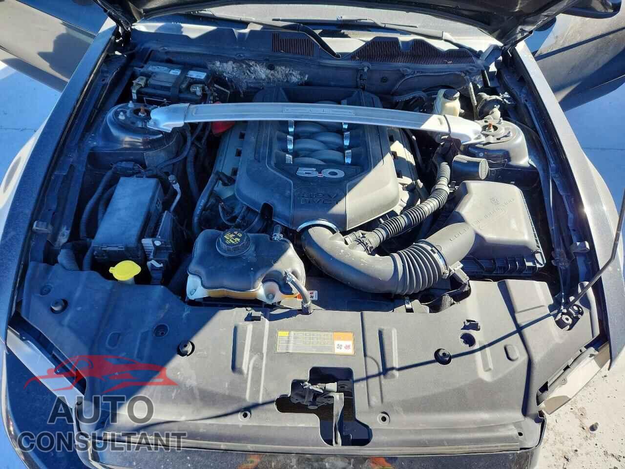 FORD MUSTANG 2014 - 1ZVBP8CF4E5266065