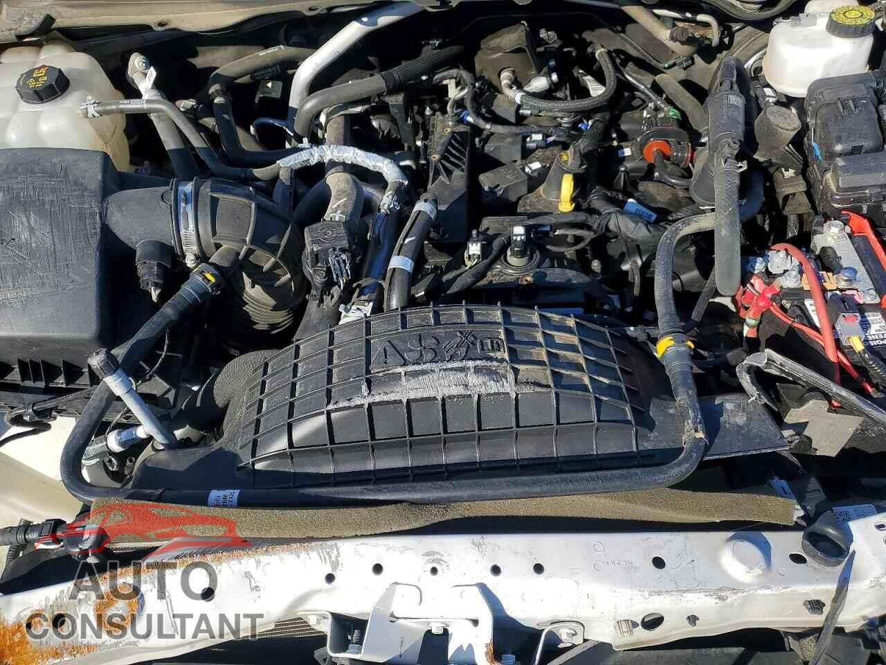 FORD RANGER 2021 - 1FTER1FH7MLD69098
