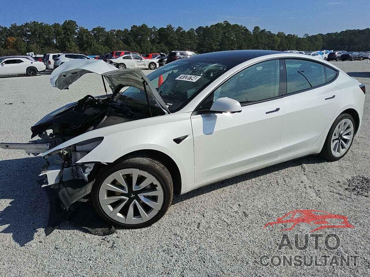 TESLA MODEL 3 2023 - 5YJ3E1EA3PF437458