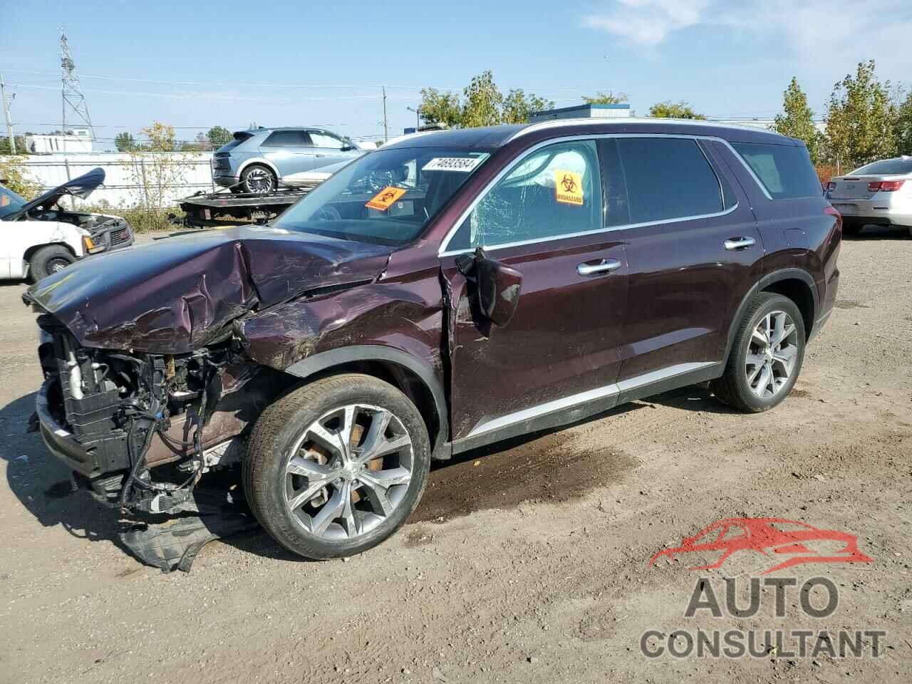 HYUNDAI PALISADE 2020 - KM8R3DHE5LU153794
