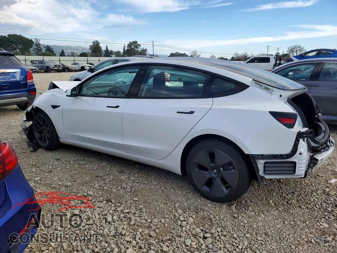 TESLA MODEL 3 2021 - 5YJ3E1EA5MF871862