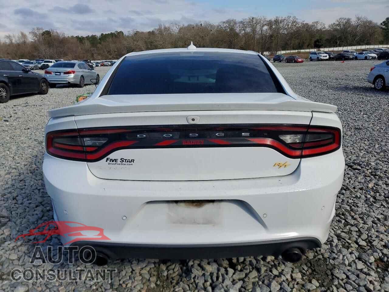 DODGE CHARGER 2019 - 2C3CDXCTXKH757202