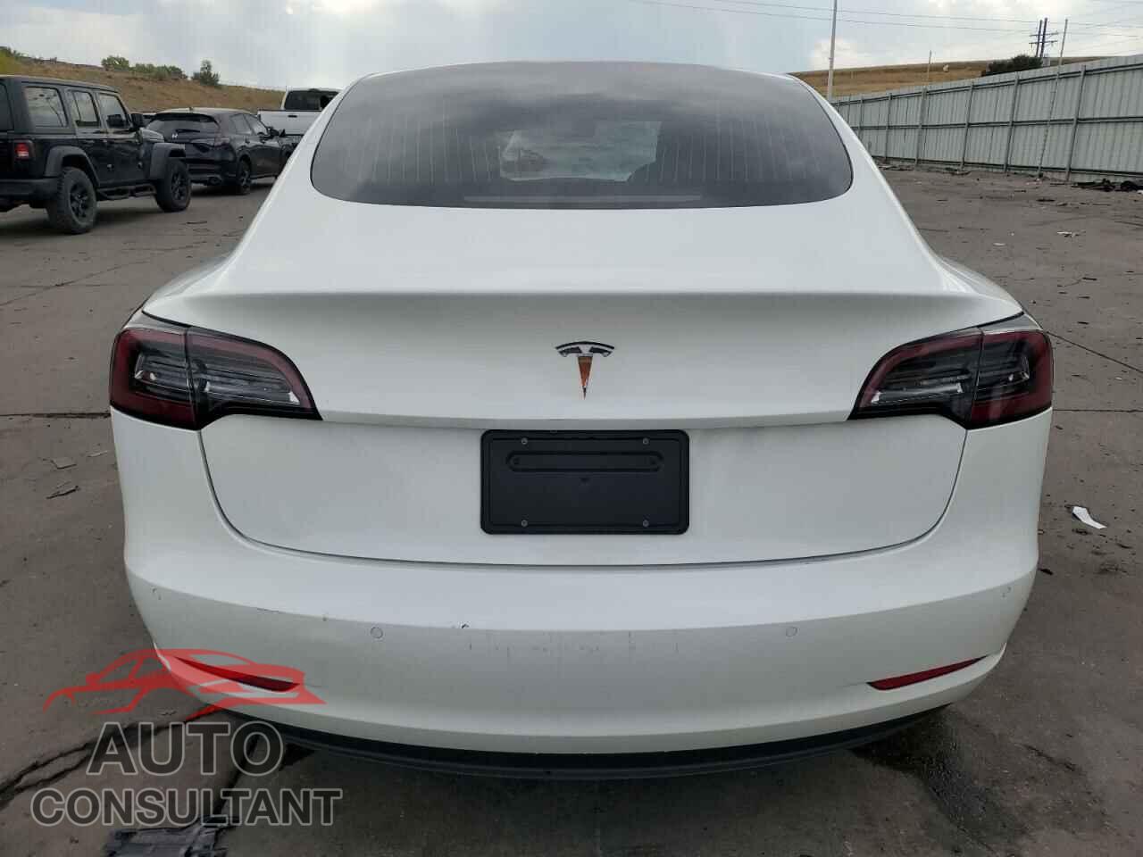 TESLA MODEL 3 2020 - 5YJ3E1EA8LF613558