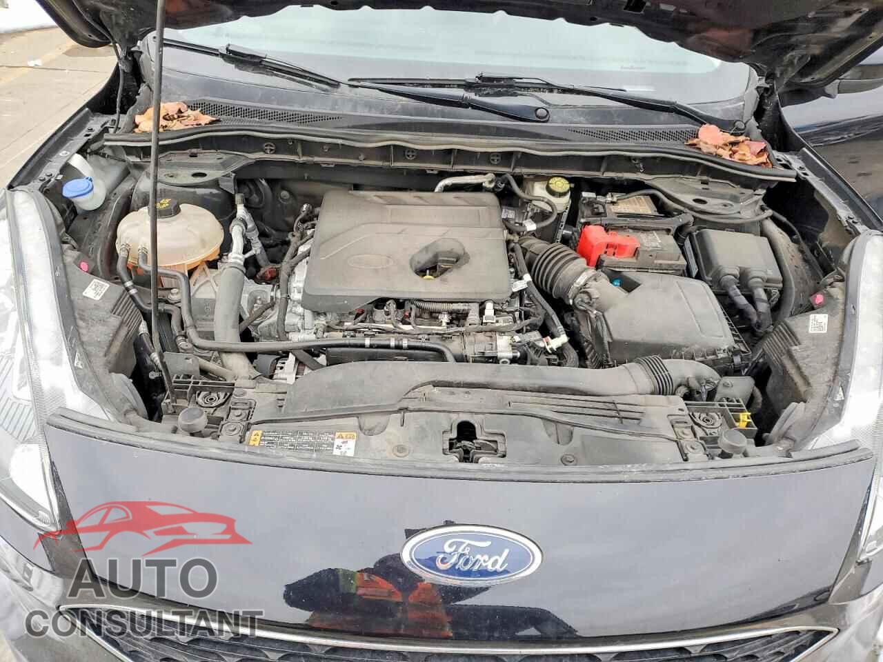 FORD ESCAPE 2020 - 1FMCU9H69LUA51228